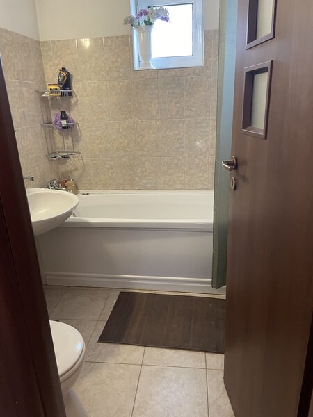 Rahova -Petre ispirescu