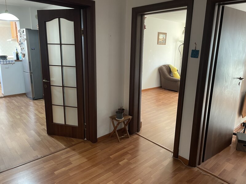 Rahova -Petre ispirescu